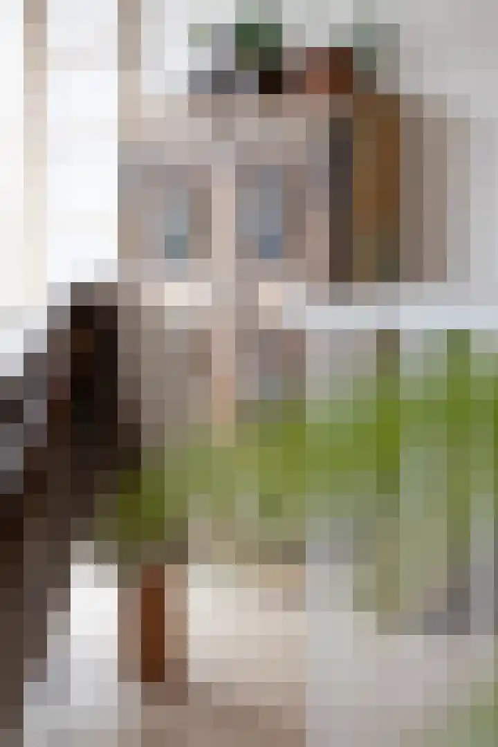 Commelinstraat 50 Amsterdam thumbnail 15