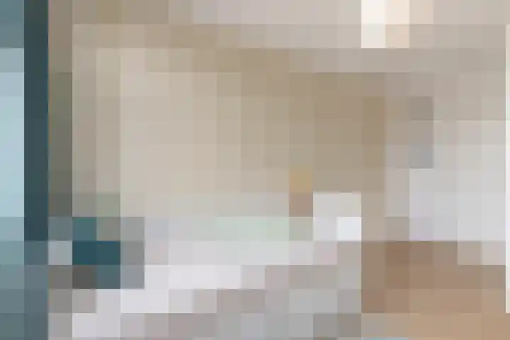Commelinstraat 50 Amsterdam thumbnail 18