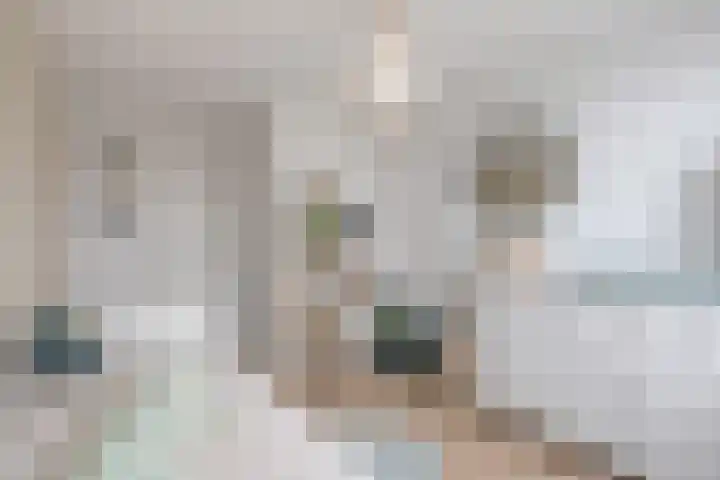 Commelinstraat 50 Amsterdam thumbnail 19