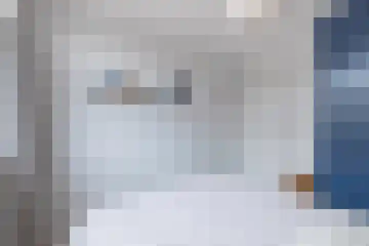 Commelinstraat 50 Amsterdam thumbnail 23