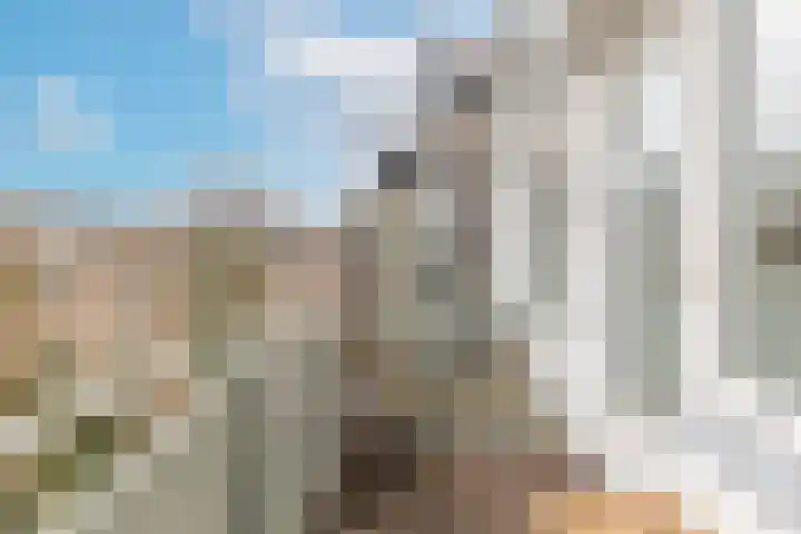 Commelinstraat 50 Amsterdam thumbnail 30