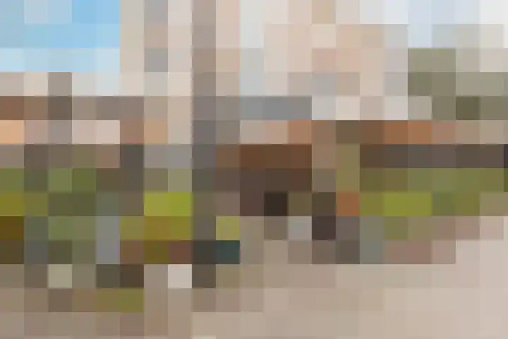Commelinstraat 50 Amsterdam thumbnail 32