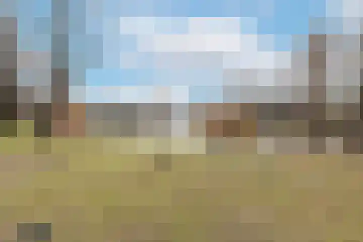 Commelinstraat 50 Amsterdam thumbnail 35
