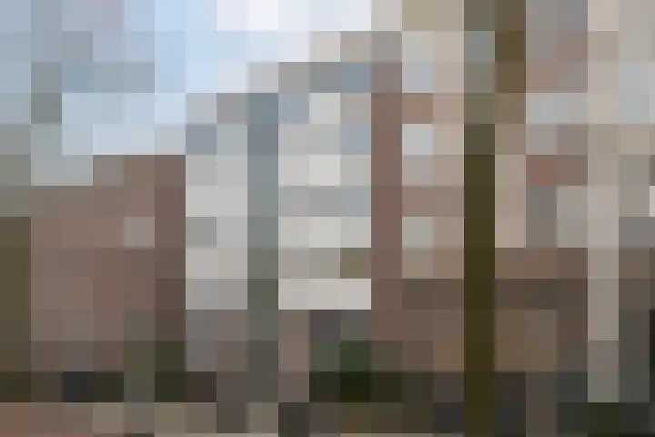 Commelinstraat 50 Amsterdam thumbnail 4