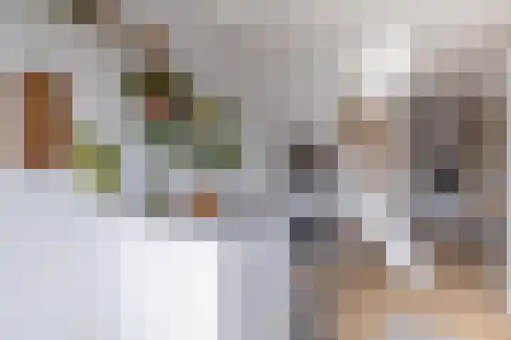 Commelinstraat 50 Amsterdam thumbnail 7