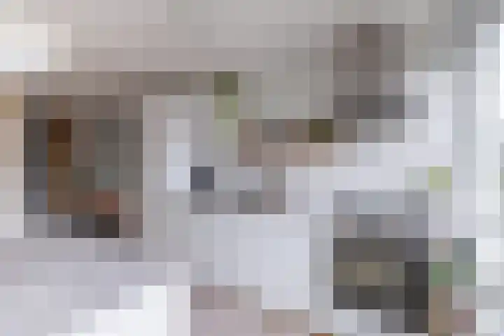 Commelinstraat 50 Amsterdam thumbnail 8