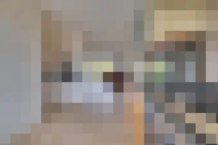 Commendereijstraat 33 Groessen thumbnail 13