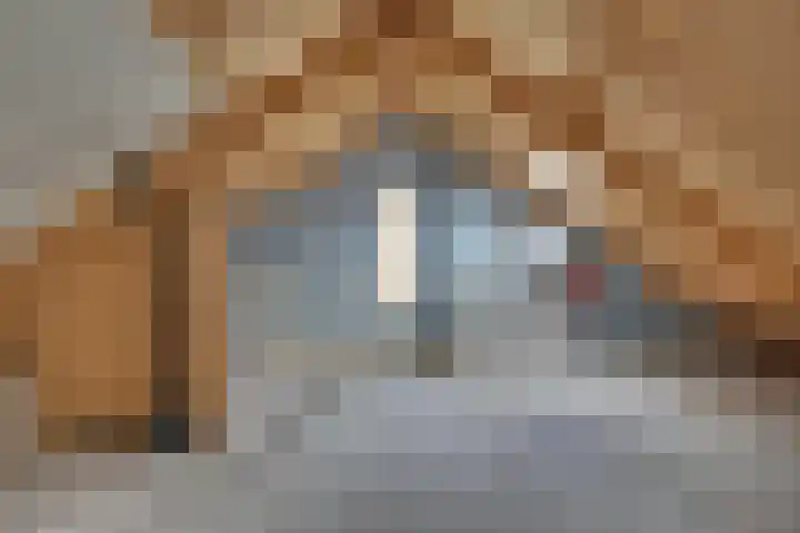 Commendereijstraat 33 Groessen thumbnail 25