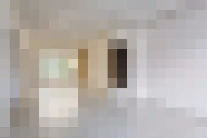 Commissaris Bosch van Drakesteinlaan 10 's-Hertogenbosch thumbnail 10