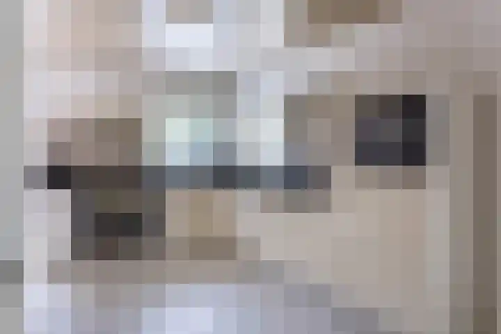 Commissaris Bosch van Drakesteinlaan 10 's-Hertogenbosch thumbnail 12