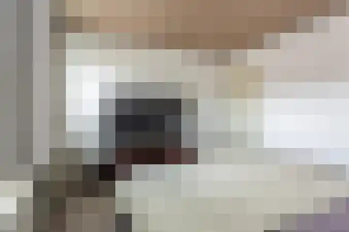 Commissaris Bosch van Drakesteinlaan 10 's-Hertogenbosch thumbnail 19