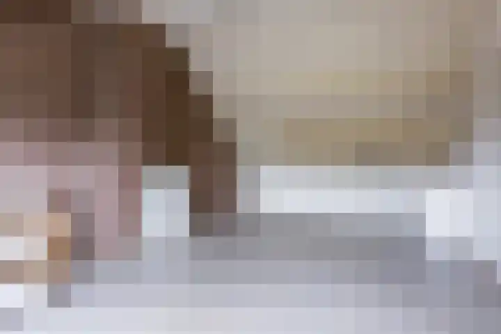 Commissaris Bosch van Drakesteinlaan 10 's-Hertogenbosch thumbnail 34