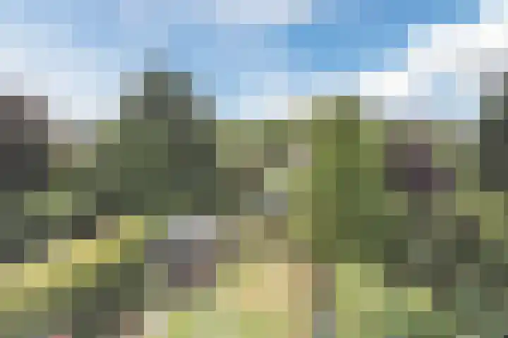 Commissaris Bosch van Drakesteinlaan 10 's-Hertogenbosch thumbnail 37