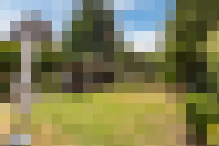 Commissaris Bosch van Drakesteinlaan 10 's-Hertogenbosch thumbnail 38