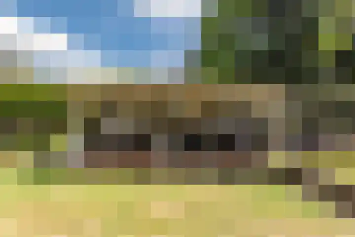 Commissaris Bosch van Drakesteinlaan 10 's-Hertogenbosch thumbnail 39