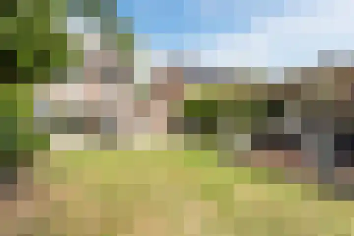 Commissaris Bosch van Drakesteinlaan 10 's-Hertogenbosch thumbnail 4