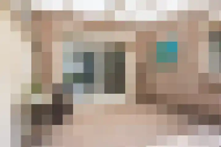 Commissaris Bosch van Drakesteinlaan 10 's-Hertogenbosch thumbnail 40