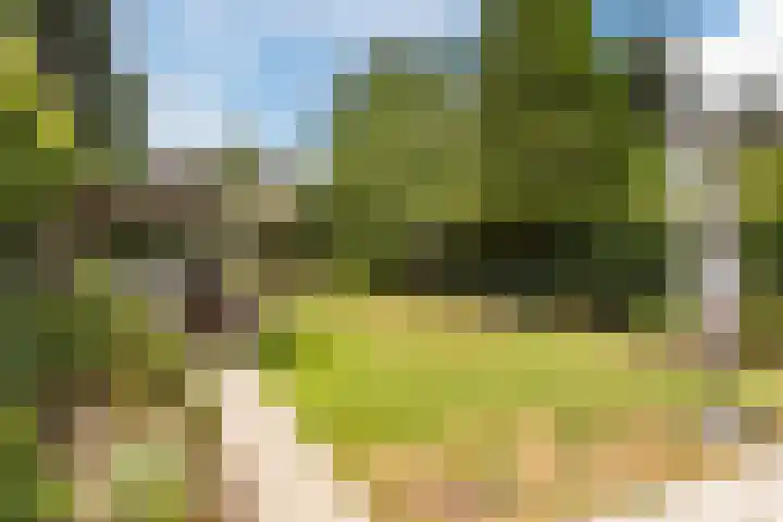 Commissaris Bosch van Drakesteinlaan 10 's-Hertogenbosch thumbnail 41