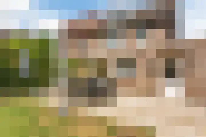Commissaris Bosch van Drakesteinlaan 10 's-Hertogenbosch thumbnail 44