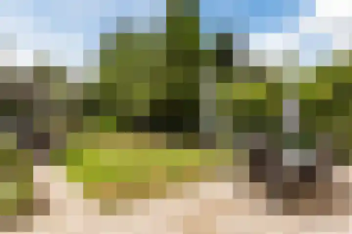 Commissaris Bosch van Drakesteinlaan 10 's-Hertogenbosch thumbnail 45