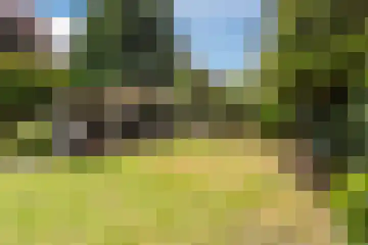Commissaris Bosch van Drakesteinlaan 10 's-Hertogenbosch thumbnail 46