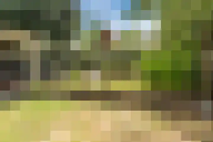 Commissaris Bosch van Drakesteinlaan 10 's-Hertogenbosch thumbnail 47