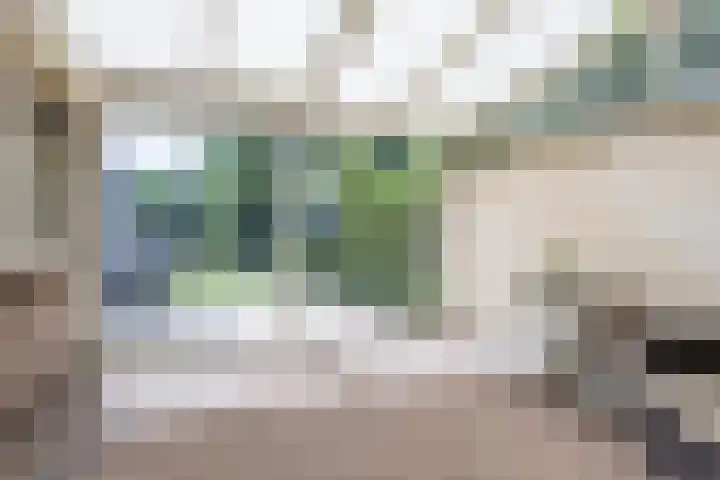 Commissaris Bosch van Drakesteinlaan 10 's-Hertogenbosch thumbnail 48
