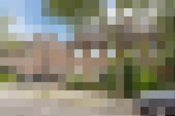 Commissaris Bosch van Drakesteinlaan 10 's-Hertogenbosch thumbnail 50