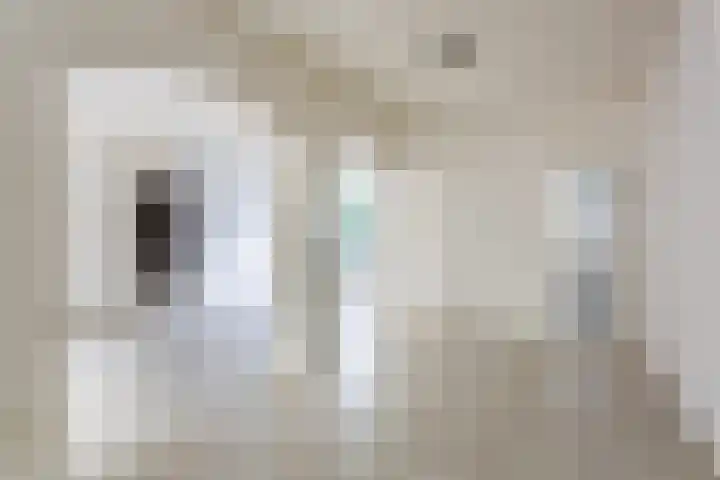 Commissaris Bosch van Drakesteinlaan 10 's-Hertogenbosch thumbnail 8