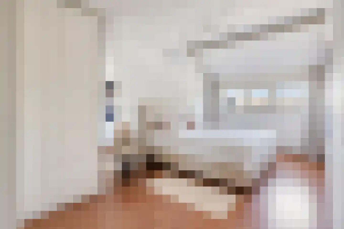 Commissaris Bosch van Drakesteinlaan 2 's-Hertogenbosch thumbnail 24