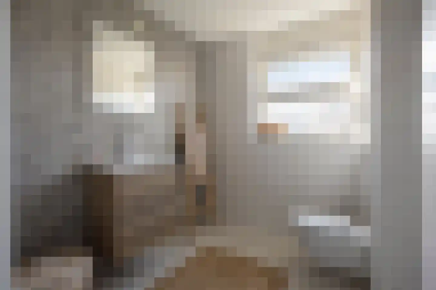 Commissaris Bosch van Drakesteinlaan 2 's-Hertogenbosch thumbnail 28