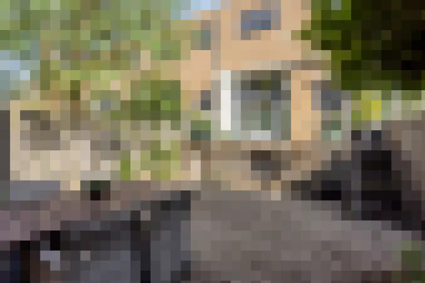 Commissaris Bosch van Drakesteinlaan 2 's-Hertogenbosch thumbnail 34