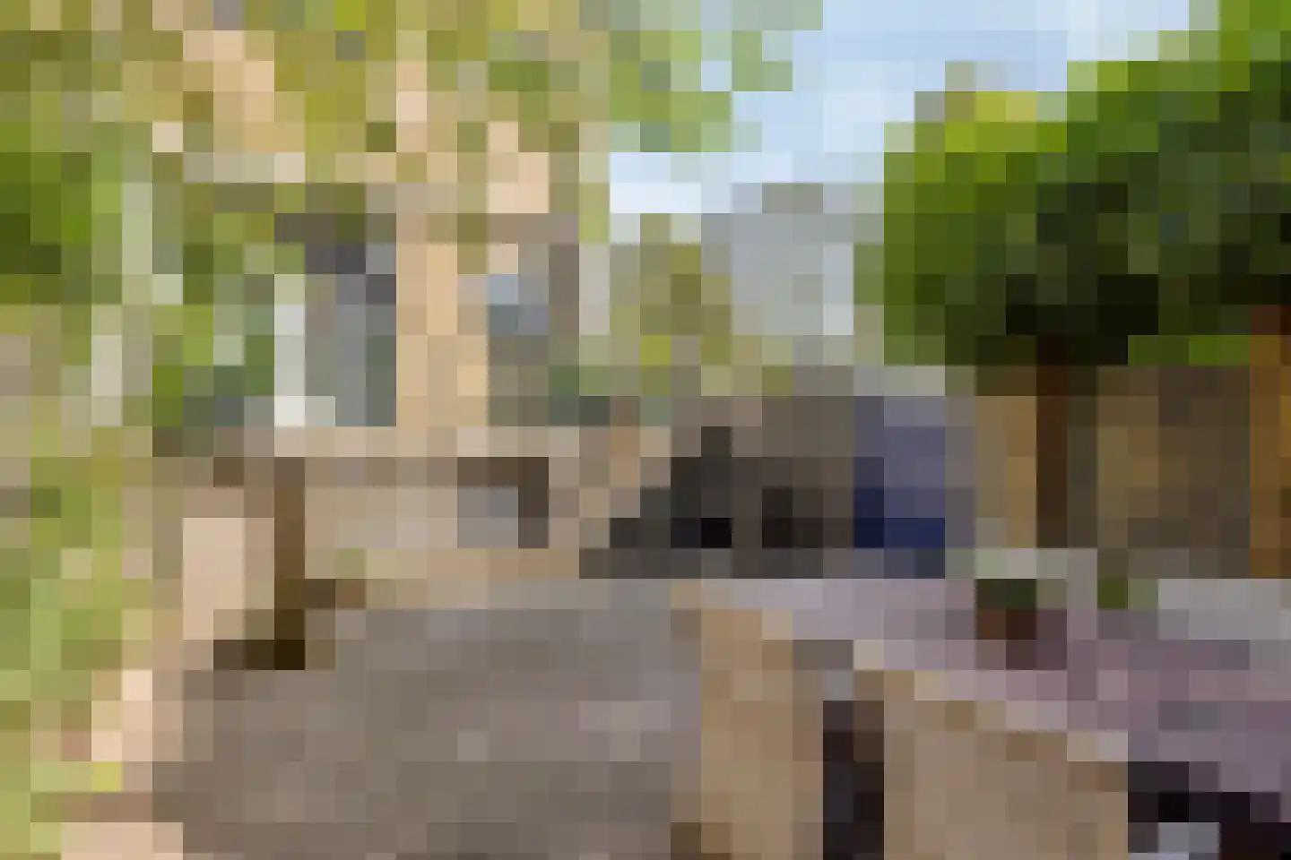 Commissaris Bosch van Drakesteinlaan 2 's-Hertogenbosch thumbnail 35