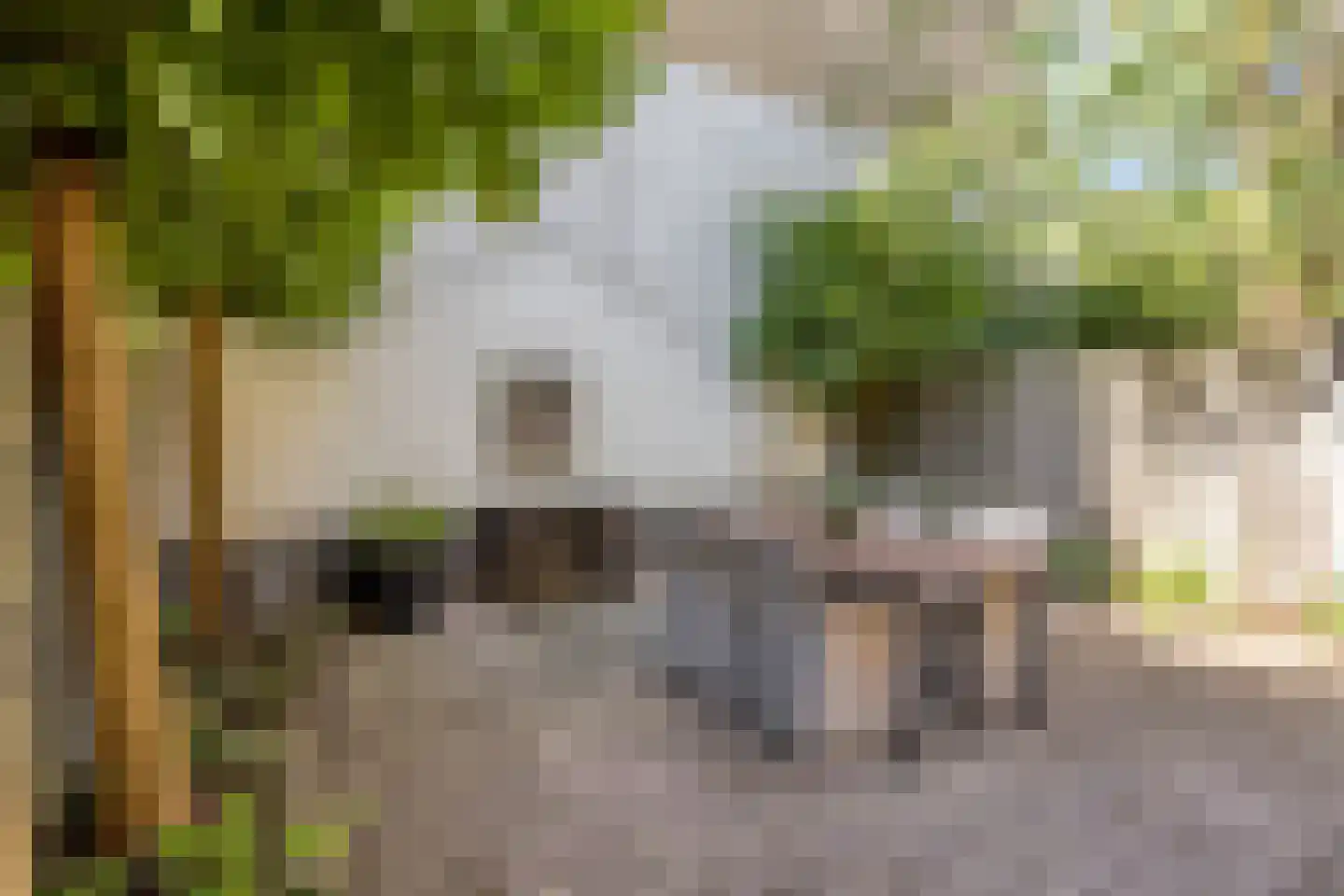 Commissaris Bosch van Drakesteinlaan 2 's-Hertogenbosch thumbnail 37