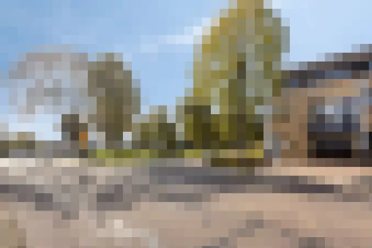 Commissaris Bosch van Drakesteinlaan 2 's-Hertogenbosch thumbnail 41