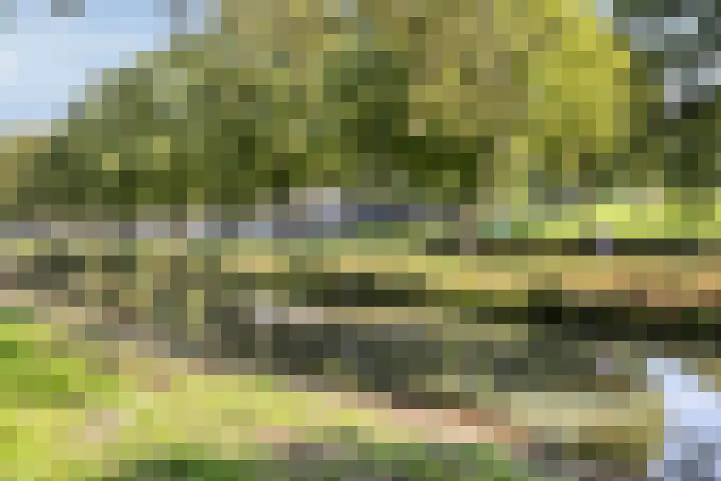 Commissaris Bosch van Drakesteinlaan 2 's-Hertogenbosch thumbnail 42