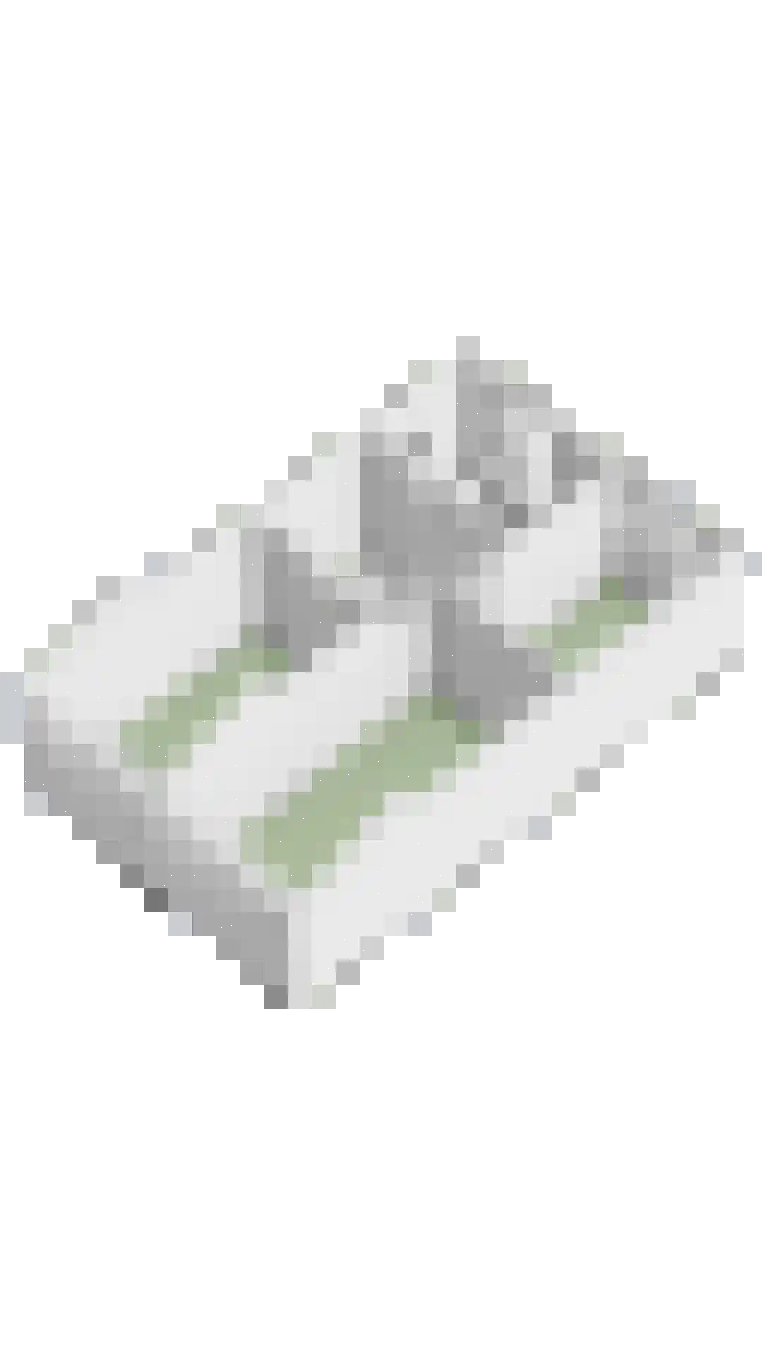 Commissaris Bosch van Drakesteinlaan 2 's-Hertogenbosch thumbnail 49