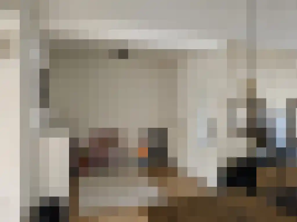 Commissaris Bosch van Drakesteinlaan 23 's-Hertogenbosch thumbnail 4