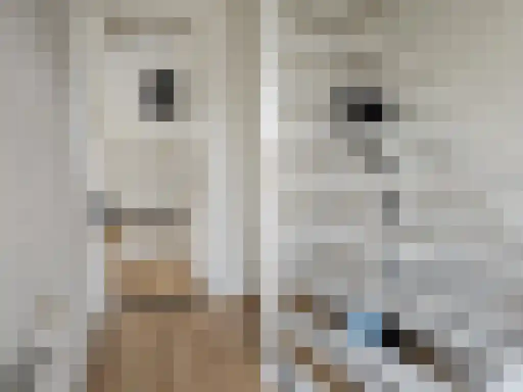 Commissaris Bosch van Drakesteinlaan 23 's-Hertogenbosch thumbnail 5