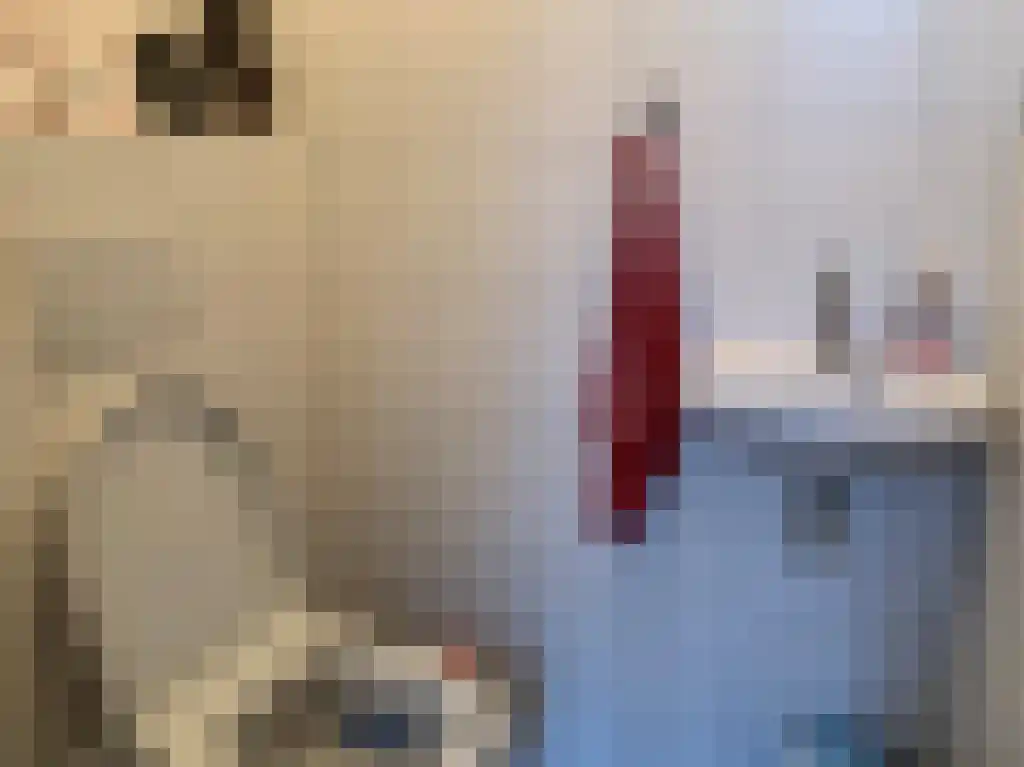 Commissaris Bosch van Drakesteinlaan 23 's-Hertogenbosch thumbnail 6