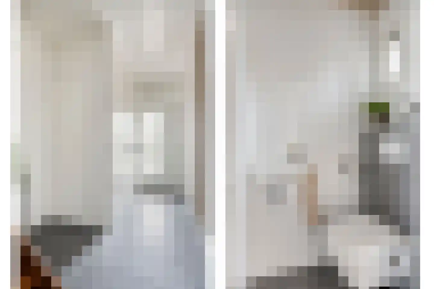 Commissaris Bosch van Drakesteinlaan 3 's-Hertogenbosch thumbnail 10