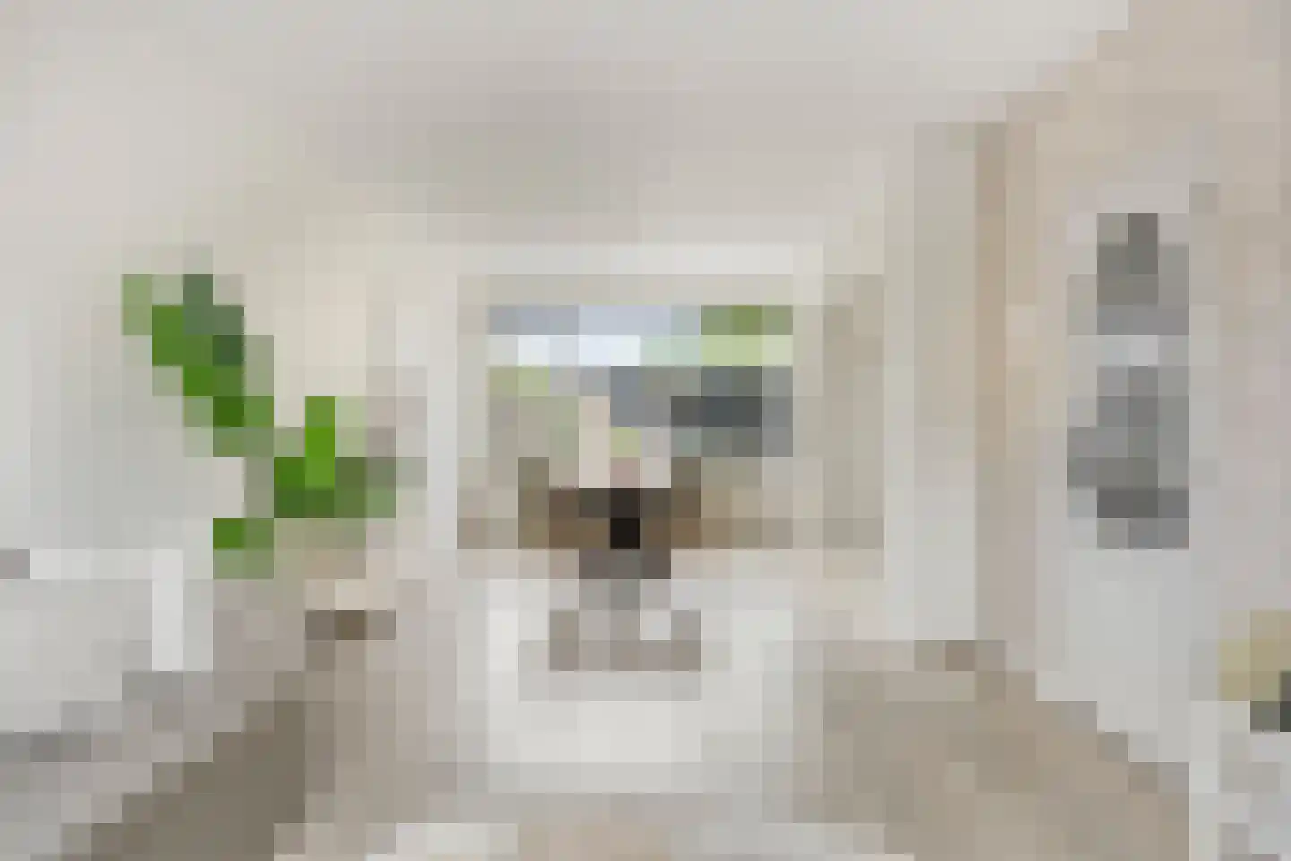 Commissaris Bosch van Drakesteinlaan 3 's-Hertogenbosch thumbnail 12
