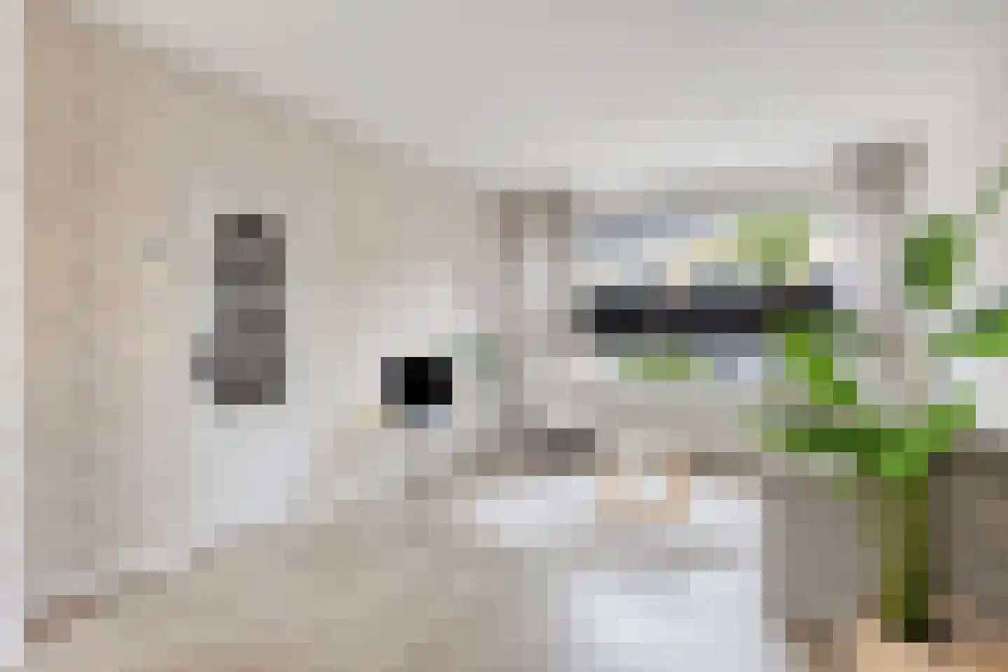 Commissaris Bosch van Drakesteinlaan 3 's-Hertogenbosch thumbnail 13