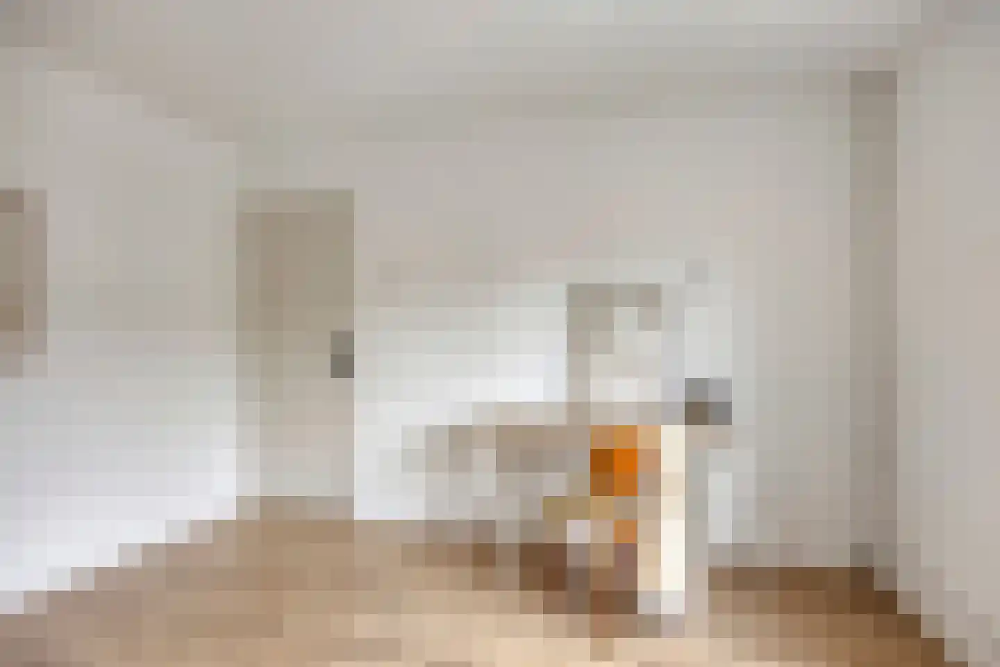 Commissaris Bosch van Drakesteinlaan 3 's-Hertogenbosch thumbnail 23