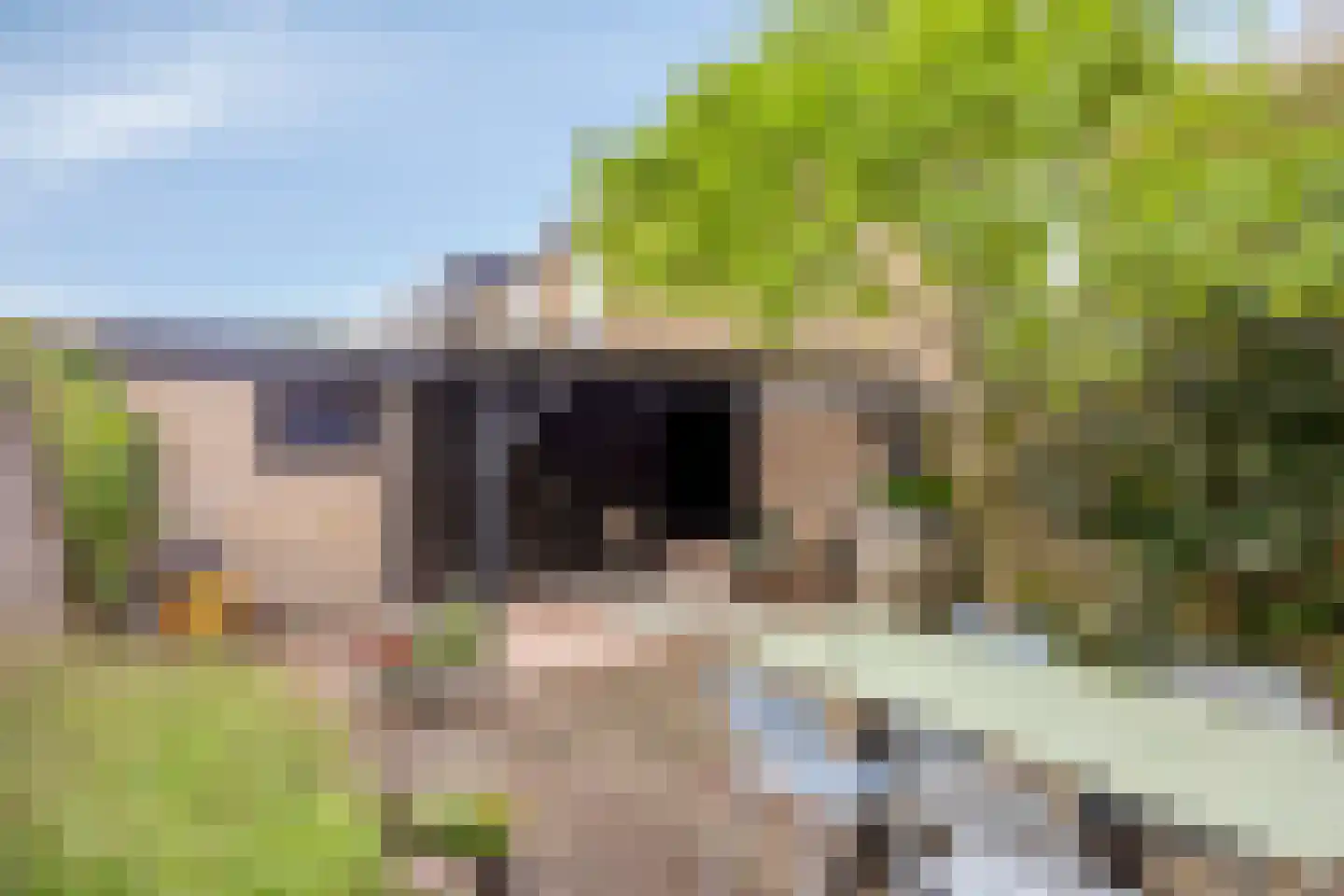 Commissaris Bosch van Drakesteinlaan 3 's-Hertogenbosch thumbnail 30