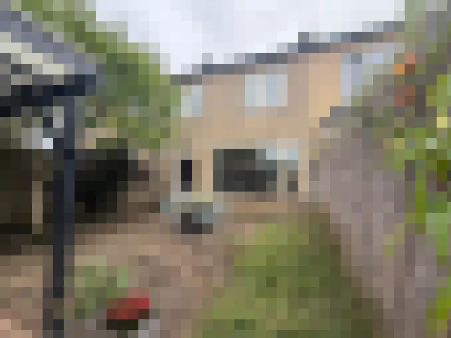 Commissaris Bosch van Drakesteinlaan 3 's-Hertogenbosch thumbnail 6