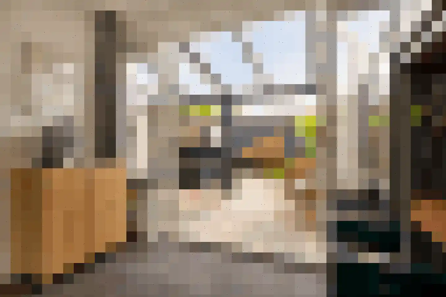 Commissaris Bosch van Drakesteinlaan 5 's-Hertogenbosch thumbnail 10