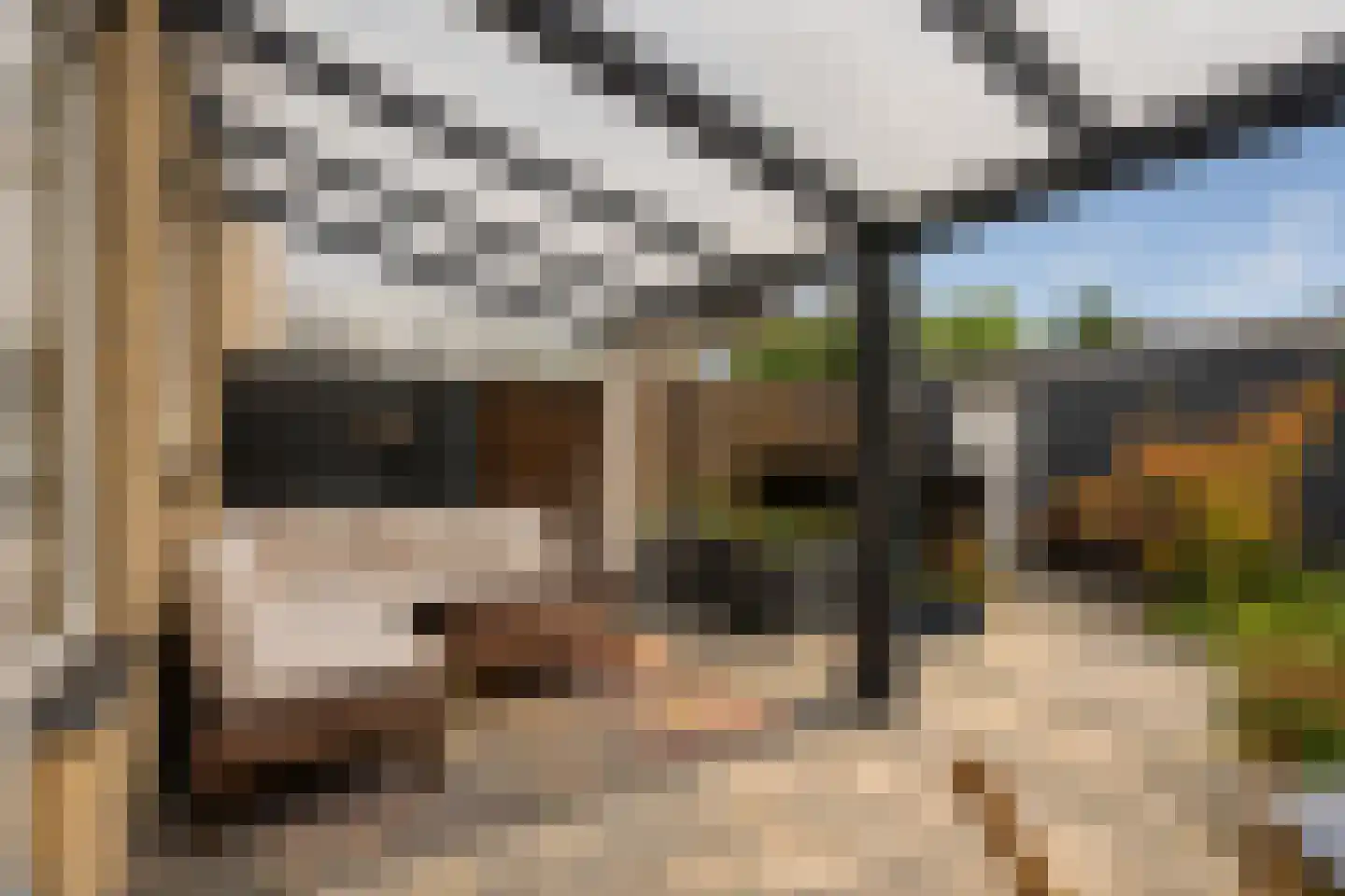 Commissaris Bosch van Drakesteinlaan 5 's-Hertogenbosch thumbnail 12