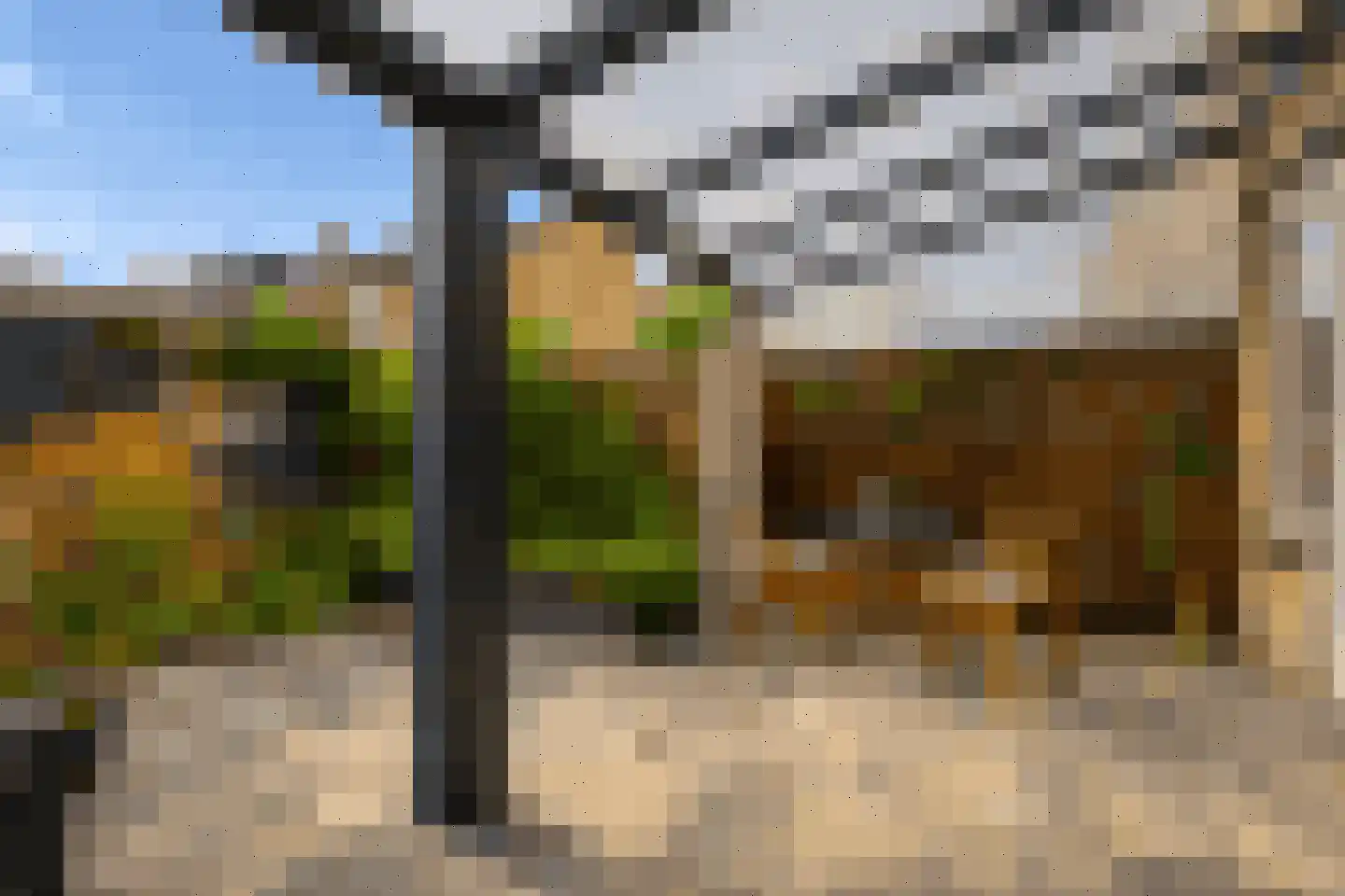 Commissaris Bosch van Drakesteinlaan 5 's-Hertogenbosch thumbnail 13