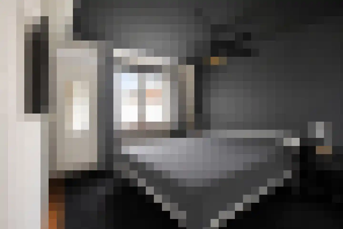 Commissaris Bosch van Drakesteinlaan 5 's-Hertogenbosch thumbnail 17